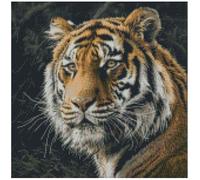 Tiger Close up Counted Cross Stitch Kits, 14ct 150x150 Stitch,37x37cm Cotton Tiger Counted Cross Stitch Kits