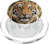 Tiger Close Up Portrait Intense Wildlife Animal Face PopSockets PopGrip for MagSafe