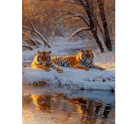 Tiger Diamond Art Kits Adults, 5D Diamond Painting Snow Scene, DIY Full Drill Cross Stitch Embroidery Crystal Art Kits, Crafts for Adults, Paintings for Room Decor, Gifts for Women 12x20 inch 2-6152