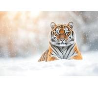 Tiger Diamond Painting Animal Diamond Art Kits Adults, 5D Full Drill Sequin Art Kits, DIY Rhinestone Embroidery Crystal Cross Stitch Arts and Crafts Paintings, Christmas Home Decor Gifts 32x48in X-308