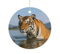 Tiger Double-Sided Ceramic Christmas Ornaments - Round Hanging Mini Xmas Tree Decorations, Ideas for Farmers, Rustic Home Decor for Indoor Outdoor Tree Decor