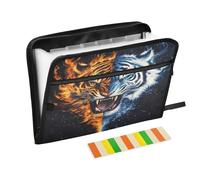 Tiger Expanding File Folder A4,13 Pockets File Organiser, Paperwork A4 Plastic Wallet Document Storage Expander for School,Office and Home