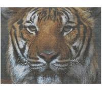 Tiger Eyes Cross Stitch Pattern Only