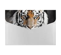 Tiger File Organizer for Office,6 Pockets Expanding File Folder, Portable Accordion Folders for Desktop, Waterproof Paper Bill Receipt Organizer for Business