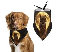 Tiger Gold Moon Pet Triangle Bandana Soft Puppy Scarfs Dog Cat Gifts for Small Medium Pets