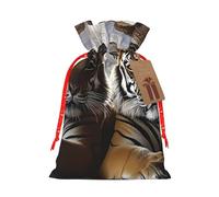 Tiger In Cave Drawstring Gift Bags Reusable Gift Wrapping Pouches For Birthday, Wedding, Party Favours & Festive Presents