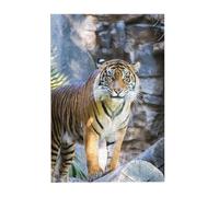 Tiger in the zoo Prints Wooden Jigsaw Puzzle 300-Piece in Plastic Box, 26x38 CM Eco-Friendly Educational Puzzle for Family Fun & Adult Relaxation