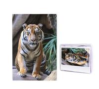 Tiger in The Zoo Puzzle for Adults 1000 Pieces, Wooden Jigsaw Puzzle from Photos, Challenging Puzzles Perfect for Game Nights, Home Decoration Puzzles Gift for Holiday Birthday
