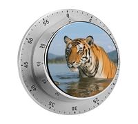 Tiger Kitchen Timer 60 Minute Visual Wind Up Timers Indoor Mechanical Timers with Magnetic Base Stainless Steel Timer for Home Cooking Time Management Tool