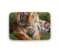 Tiger Laying on The Grass Door Mat Heavy Duty Welcome Mats for Outdoor Indoor, Super Absorbent Entryway Rugs Dirt Trapper Entrance Mat Non-Slip Backing Kitchen Rugs for Bathroom 19.7"x31.5"