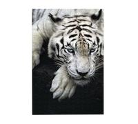 Tiger Lie On Rock Prints Wooden Jigsaw Puzzle 300-Piece in Plastic Box, 26x38 CM Eco-Friendly Educational Puzzle for Family Fun & Adult Relaxation