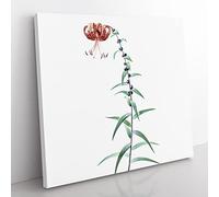 Tiger Lily Flower by Pierre Joseph Redoute Vintage Canvas Wall Art Print Ready to Hang, Framed Picture for Living Room Bedroom Home Office Décor, 50x50 cm (20x20 Inch)