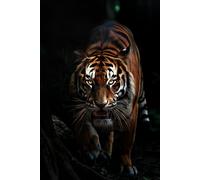 Tiger Lined Notebook Journal Notebook University Notebook, Work Notebook Writing Notebook Journal Notetaking, Daily Journal Writing book Pads & Diaries Note Book