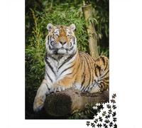 Tiger Lying on Brown Tree Puzzle for Adults 1000 Pieces, Tiger Themed Jigsaw, Birthday Gift for Puzzle Fans, 52x38cm/1000pcs