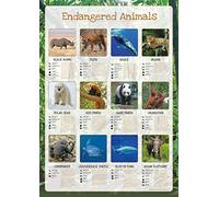 Tiger Moon Endangered Animals Poster - A2 42 x 59.4 cm - Paper Laminated