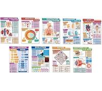 Tiger Moon GCSE Biology - A3 29.7 x 42 cm - Paper Laminated