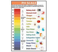 Tiger Moon GCSE Science - PH Scale Physics Information Poster
