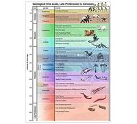 Tiger Moon Geological Periods Information Poster - A1 Size 59.4 x 84.1 cm