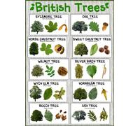 Tiger Moon The Tiger Moon Trading Company Ltd British Trees Nature Poster