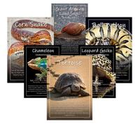 Tiger Moon The Tiger Moon Trading Company Ltd Exotic Pets Popular Reptiles - Set of 6 - A3