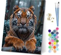 Tiger Paint by Numbers for Adults, Raindrop Paint by Numbers Kits On Canvas, Easy DIY Color Oil Painting Acrylic Paints with Brushes, Hobbies for Adults Women, Home Wall Decor Gifts 20x26 inch Q-1262
