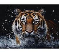 Tiger Paint by Numbers for Adults with Frame 7.8X11.8INCH, Adult Paint by Numbers Animal Pattern Design, DIY Color Canvas Oil Paintings with Acrylic Paint and Brushes, Home Room Decor, Gifts for Women