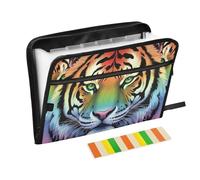 Tiger Rainbow Gradient Expanding Filing Folder with 13 Pockets, Waterproof Nylon Accordion Organizer with Front Pocket and Writable Labels