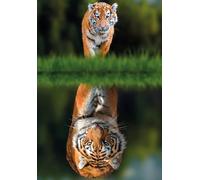 Tiger Reflections 1000 Piece Jigsaw Puzzle; British Landmarks; Eco-Friendly, Gift for Adults & Families