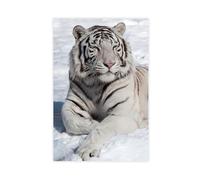 Tiger Sitting On The Snows Canvas Poster Bedroom Decor Landscape Office Room Decor Gift 20x30inch(50x75cm)