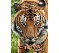 Tiger Sketchbook: Softcover Tiger Sketch book/ Notebook for feline lovers ⎮ 7x10 inches, Large ⎮ Sketch pad for Drawing, Writing, Doodling or ... with glossy finish cover and Premium Paper