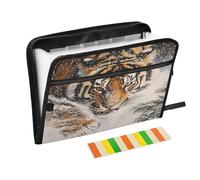 Tiger Snow Expanding File Folder A4,13 Pockets File Organiser, Paperwork A4 Plastic Wallet Document Storage Expander for School,Office and Home
