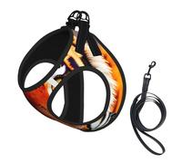 Tiger Stripes Orange Pattern Print Dog Harness and Leash Set,Breathable Adjustable Escape Proof Vest for Cats Dogs