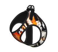 Tiger Stripes Orange Pattern Printing Dog Summer Harness With Leash Set,Adjustable And Reflective Step-In Puppy Pet Vest Harnesses