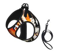 Tiger Stripes Orange Pattern Printing Dog Summer Harness With Leash Set,Adjustable And Reflective Step-In Puppy Pet Vest Harnesses