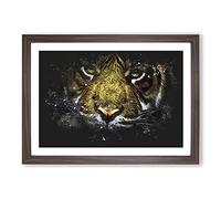 Tiger Vol.2 Paint Splash Framed Print | A2 Walnut Framed Wall Art | Ready to Hang | Modern Animal Picture | Living Room Bedroom Lounge Office