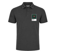 Tiger Woods 2019 Masters Golf Icon Frame Men's Polo Shirt - Light Gray / 3XL