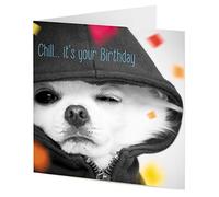 TigerMill Publishing 'Chill it's your Birthday' Funny Chihuahua Dog Birthday card