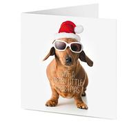 TigerMill Publishing Dachshund Christmas card 'Have a Merry Little Christmas' from