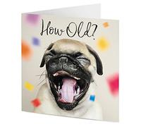 TigerMill Publishing 'How Old?' Funny Pug Dog Birthday card