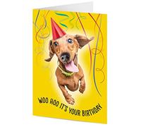 TigerMill Publishing 'Woo Hoo it's your Birthday' Sausage Dog, Dachshund Birthday card