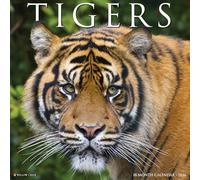 Tigers 2026 12 X 12 Wall Calendar