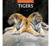 Tigers - 2026 Square Wall Calendar - by Red Robin Publishing