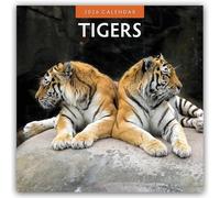 Tigers 2026 Square Wall Calendar: Original Red Robin Publishing Ltd-Kalender [Mehrsprachig] [Kalender]