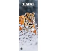 Tigers 2026 Wall Calendar, 12-Month Slim Format, Made in England