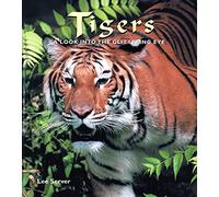 Tigers: A Look into the Glittering Eye