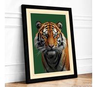 Tiger's Gaze Framed Wall Art Print A1 Black