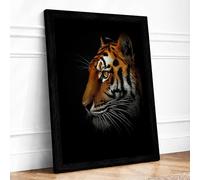 Tiger's Gaze Framed Wall Art Print A3 Black