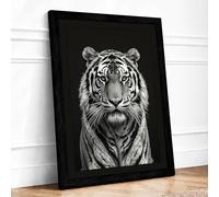 Tiger's Gaze Framed Wall Art Print A4 Black