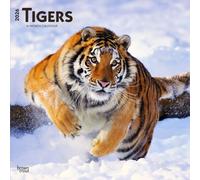 Tigers - Tiger 2026 - 16-Monatskalender: Original BrownTrout-Kalender [Mehrsprachig] [Kalender]