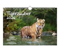 Tigerzauber DIN A4 Calendar for 2026 Tiger Seelenzauber